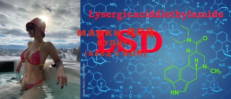 shop телеграм  Котельниково  LSD-25 экстази кислота  сколько стоит 